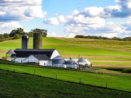 Exploring Ohio's Scenic Amish Country: 7 Tips for a Perfect Trip