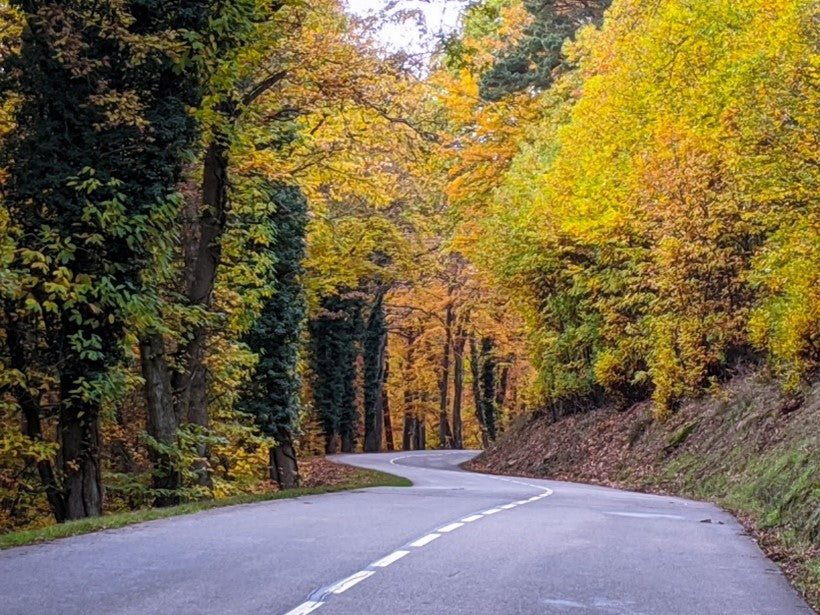 Fall road in France