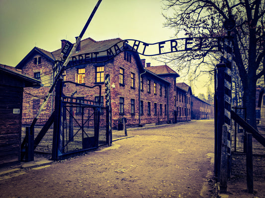 A Solo Tour of Auschwitz