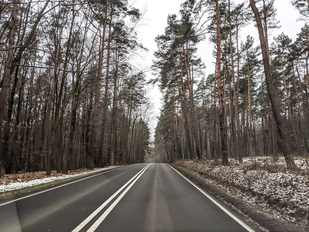 Winter road in Poland